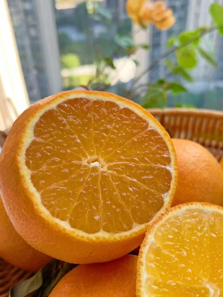Ehime Jelly Mandarin Wholesale – High Quality Winter Citrus from China