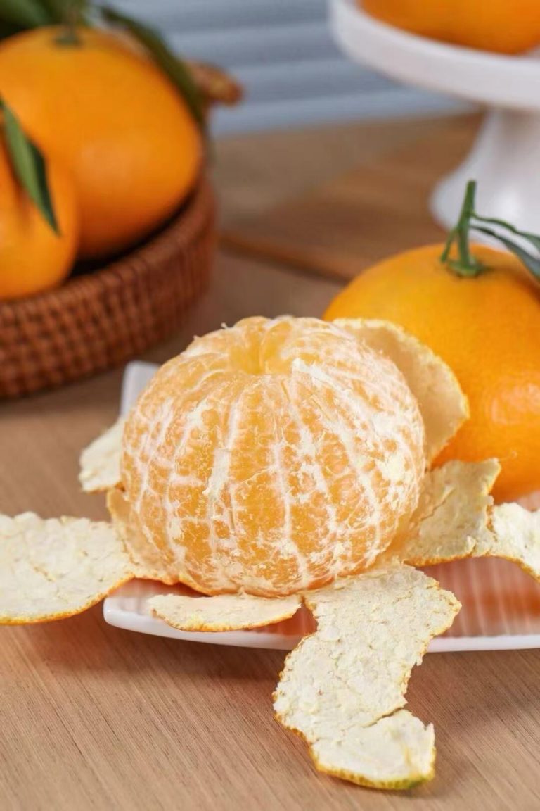 Buy Ehime Jelly Orange Direct – Certified Chinese Citrus Supplier