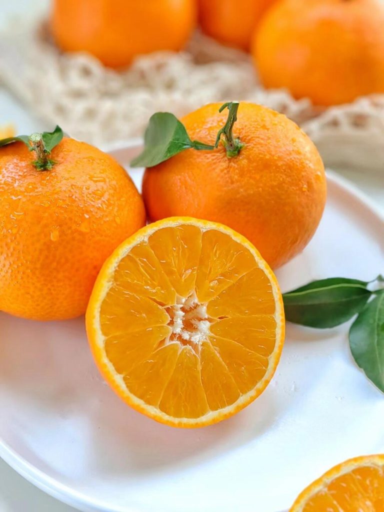 Japanese Ehime Jelly Orange: The Luxury Dessert Citrus for Export