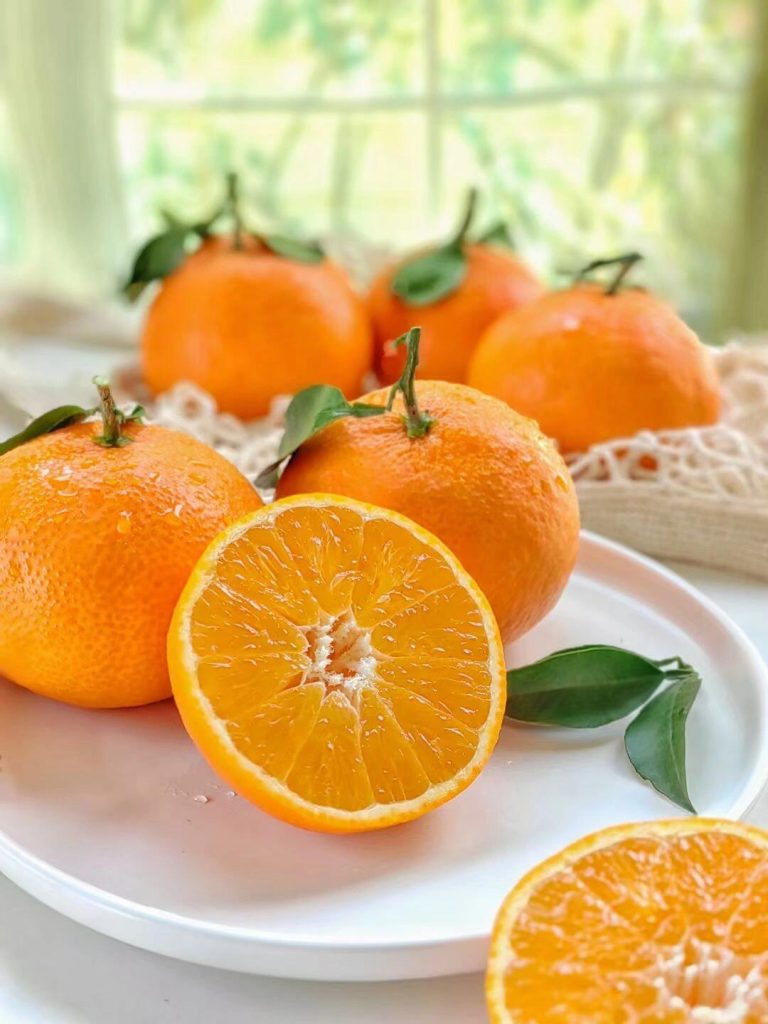 Premium Japanese Citrus Ehime Jelly Orange for Global Market