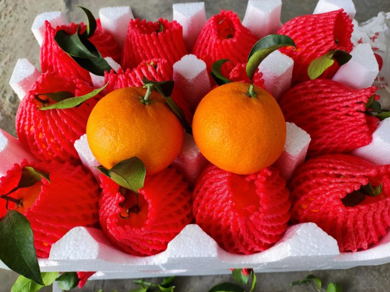 Wholesale Ehime Jelly Orange – Premium Late-Season Mandarin Export from China