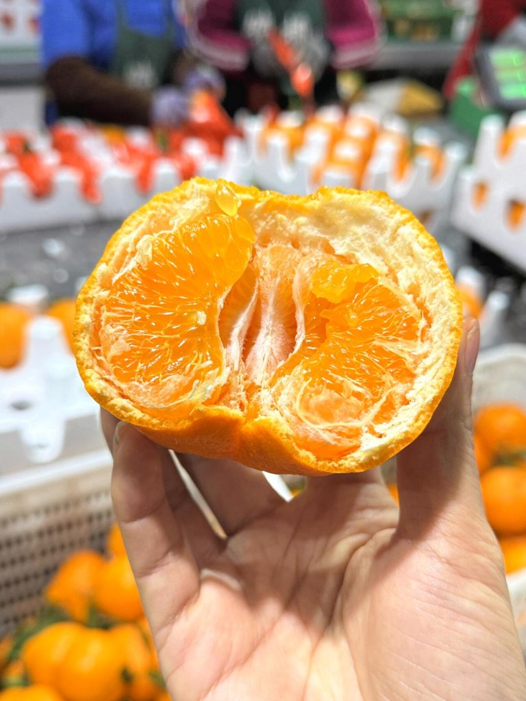 Papagan Mandarin Supplier: High-Quality Chinese Citrus at Competitive Prices