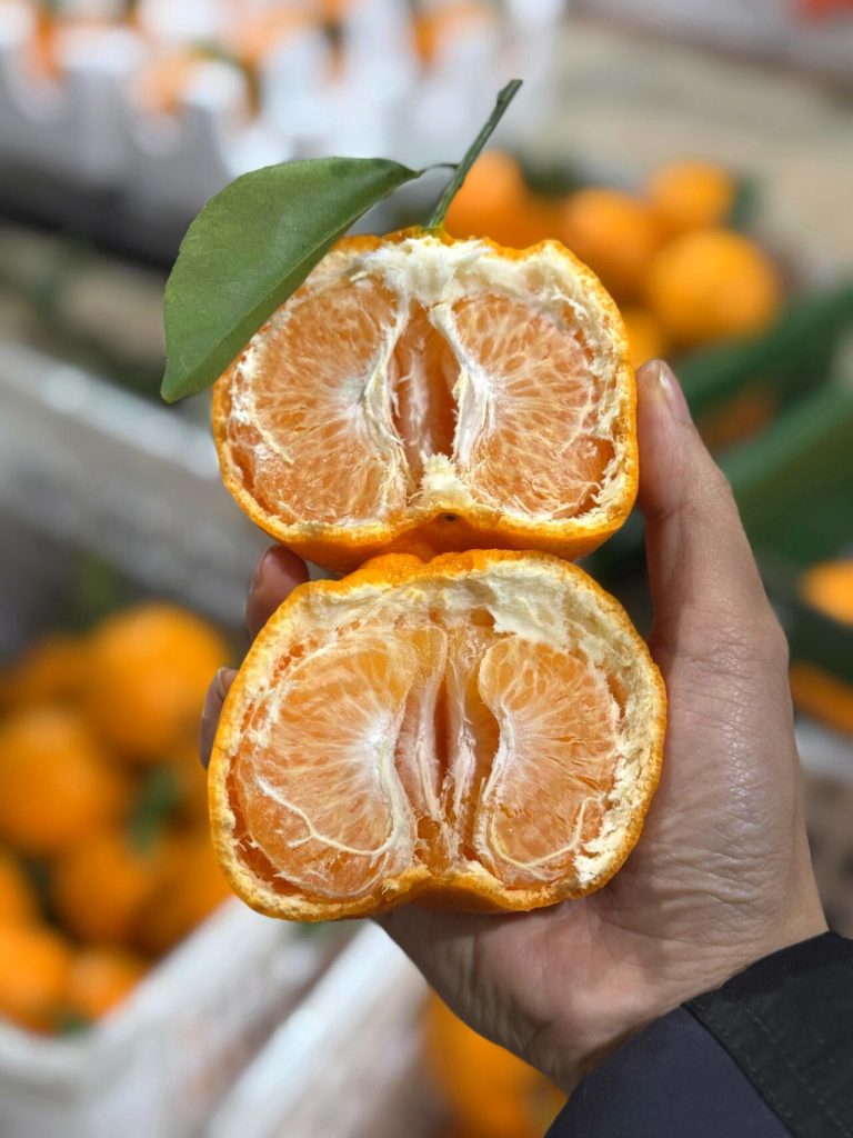 Fresh Chunjian Mandarin Orange Wholesale – Best Winter Citrus Supply from China
