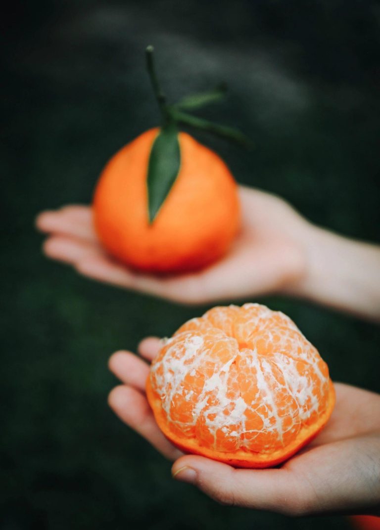 Chinese Citrus Export: Chun Jian Papagan Orange in Bulk Packaging