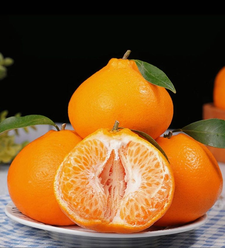 Premium Papagan Mandarin for International Buyers – Sweet and Juicy
