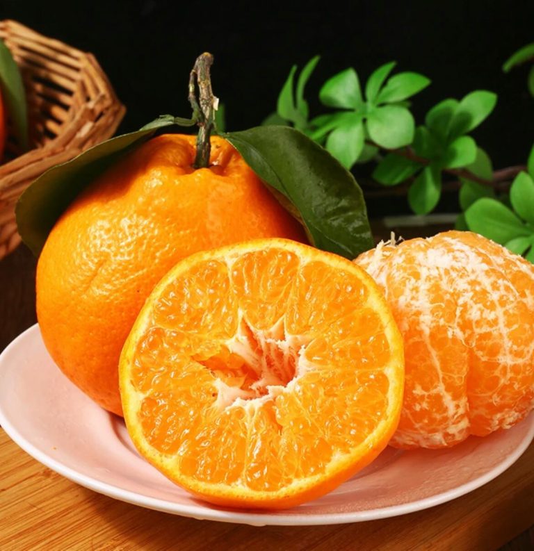 New Season Chun Jian Mandarin: High Yield, Long Shelf Life