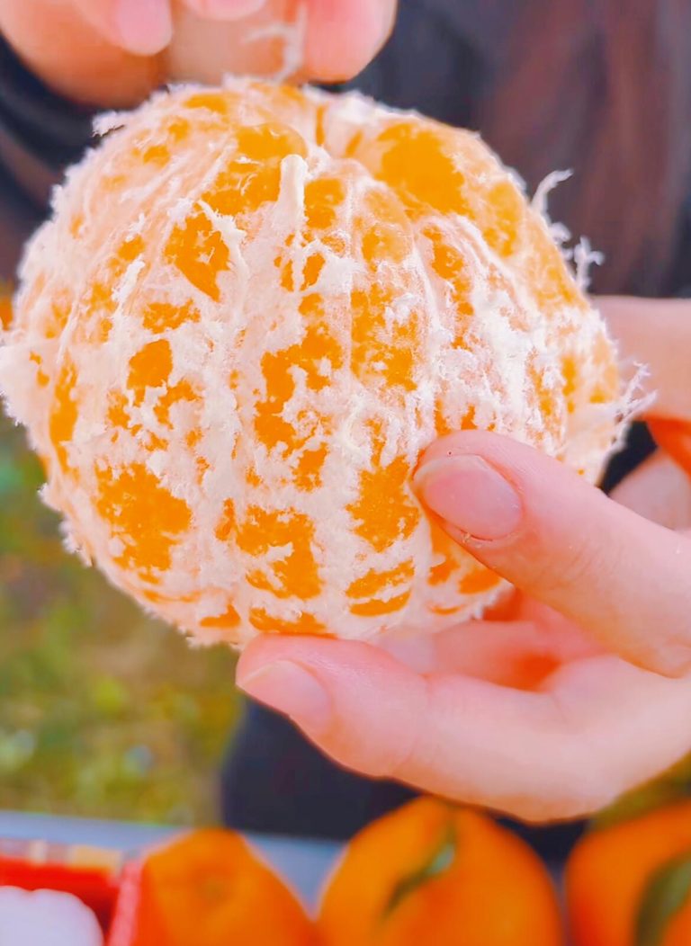 Premium Chinese Papagan Citrus Exporter for Southeast Asia Buyers