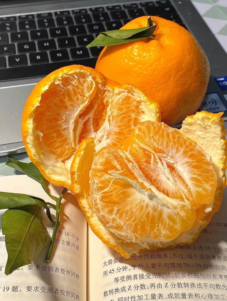 Sweet & Juicy Chun Jian Mandarin Orange for Winter Fruit Markets