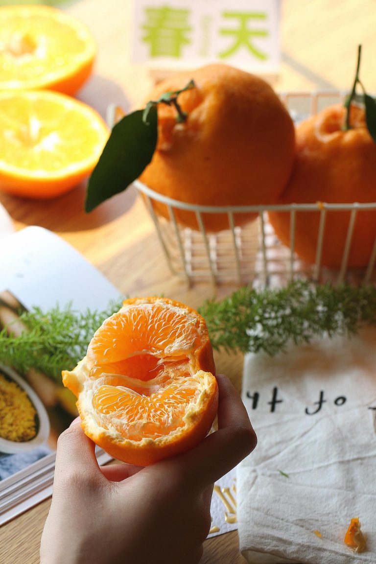 Fresh Chun Jian Papagan Orange Wholesale Price for Global Importers