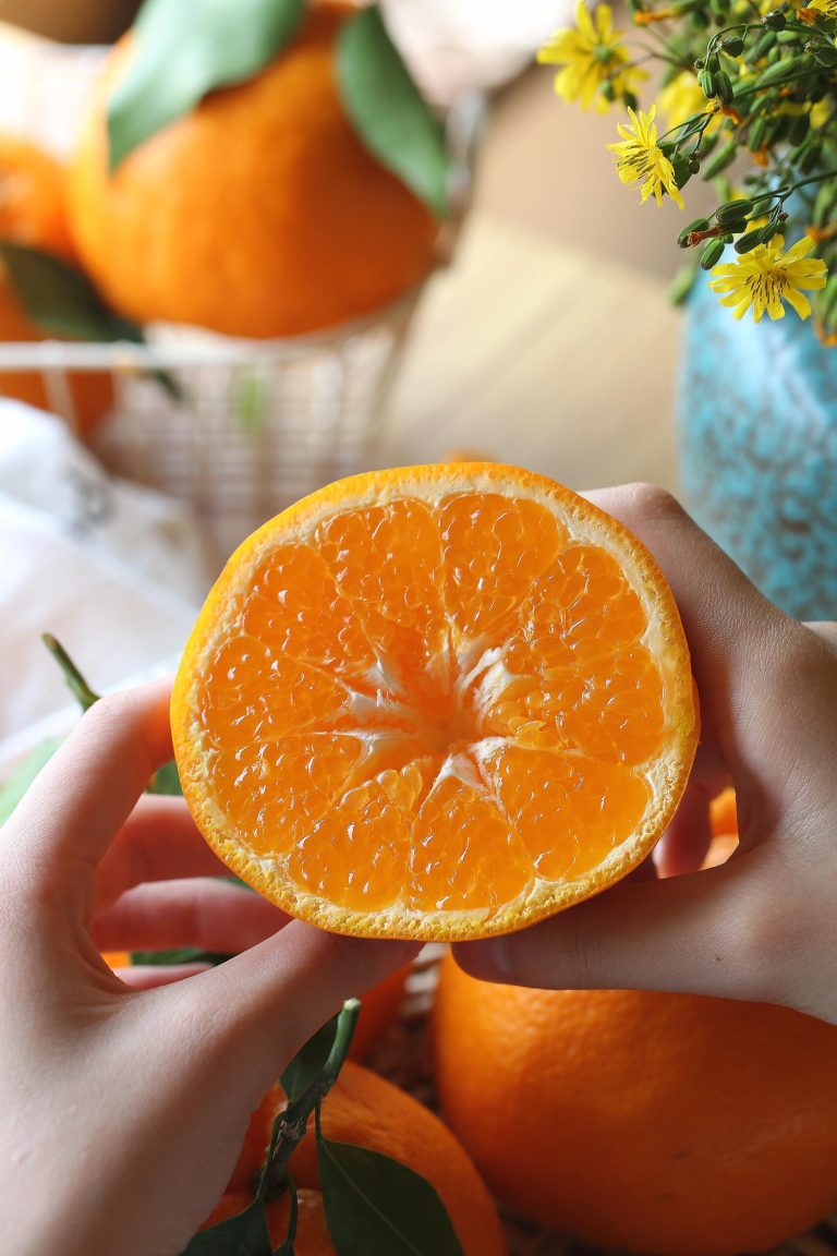 Chun Jian Mandarin Orange: Wholesale Price Trends for 2025 Season