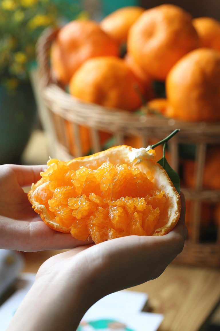 Bulk Supply of Chunjian Mandarin: Fresh Citrus for Southeast Asia Markets