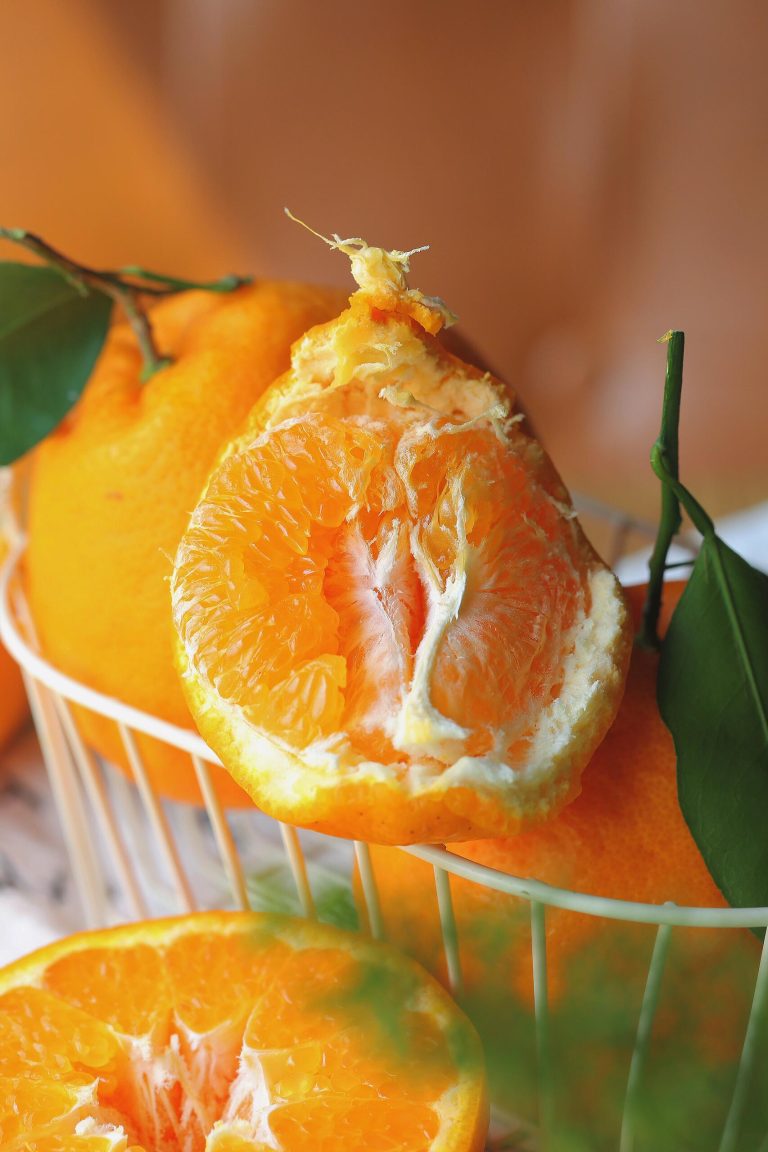 Chinese Papagan Orange Price Trends – Wholesale Insights for Distributors