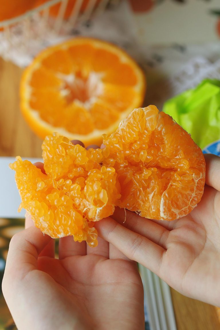 Why Papagan Orange is Becoming the Favorite Winter Citrus in China