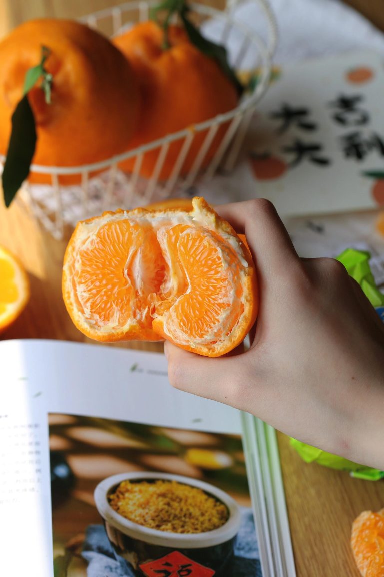 Cold Chain Logistics: Extending Papagan Mandarin’s Export Shelf Life