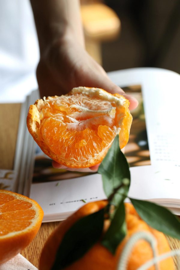 Papagan orange（Chun jian） - Image 3