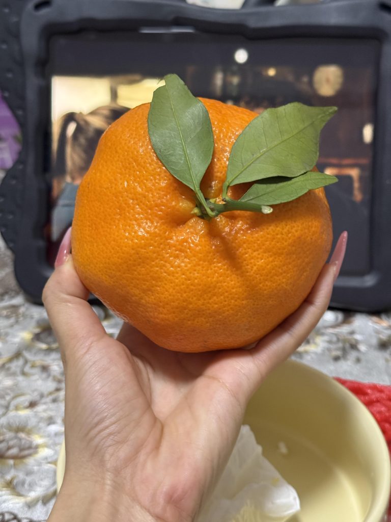 Ganping Mandarin: The Perfect Citrus for Extended Storage and Transport