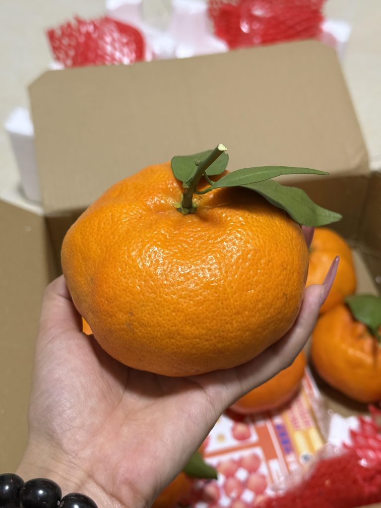 Wholesale Ganping Mandarin Orange – Unique Late-Season Citrus from China