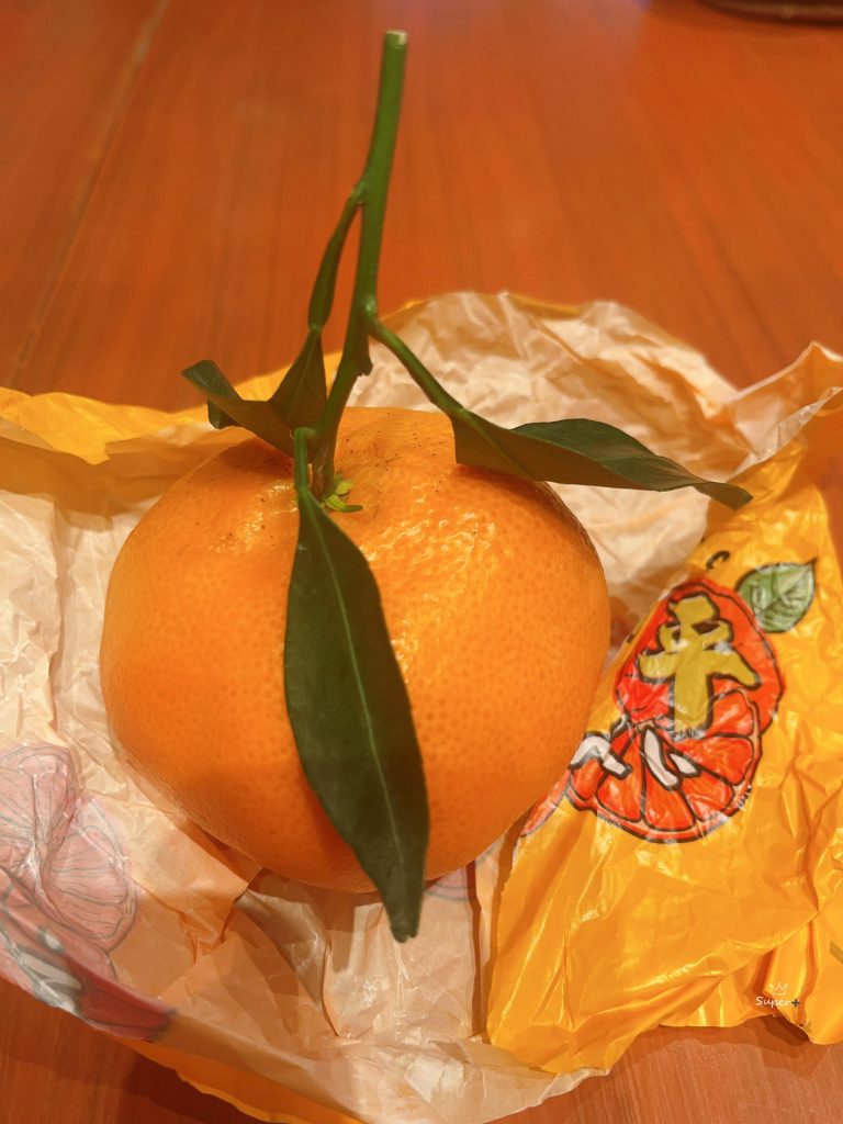 Why Papagan Oranges Are the Sweetest Choice Among Late-Maturing Citrus