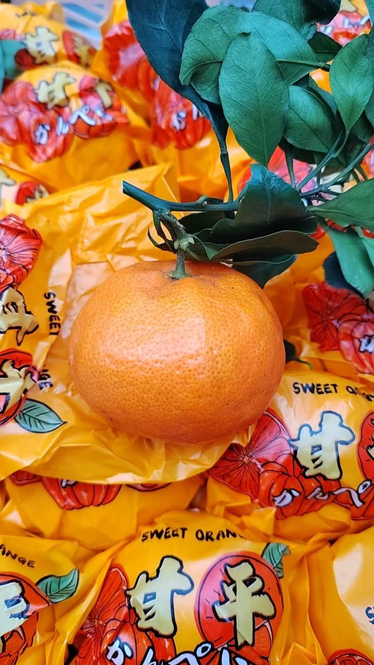 Ganping Mandarin (Kanpei): Long Shelf Life Meets Sweet Flavor