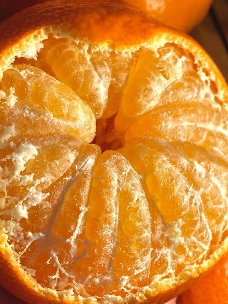 Ganping Mandarin: The Perfect Citrus for Long-Distance Export