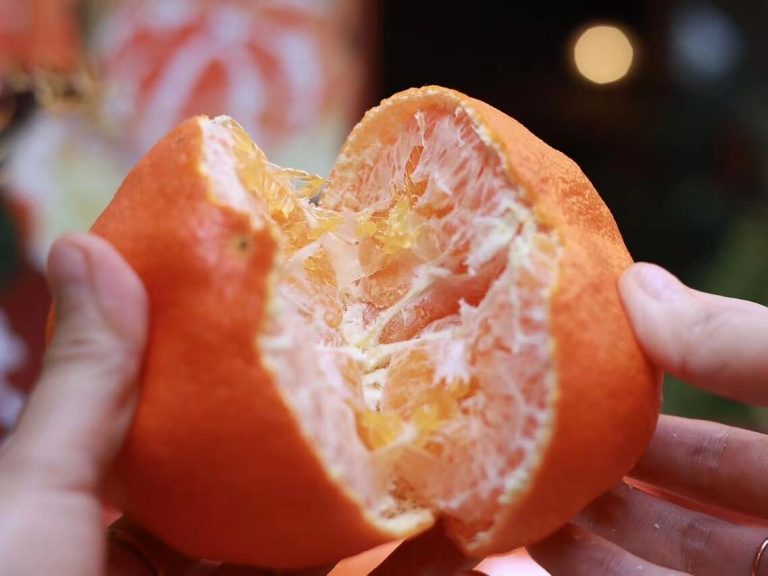Wholesale Ganping Mandarin Orange: Premium Late-Season Citrus