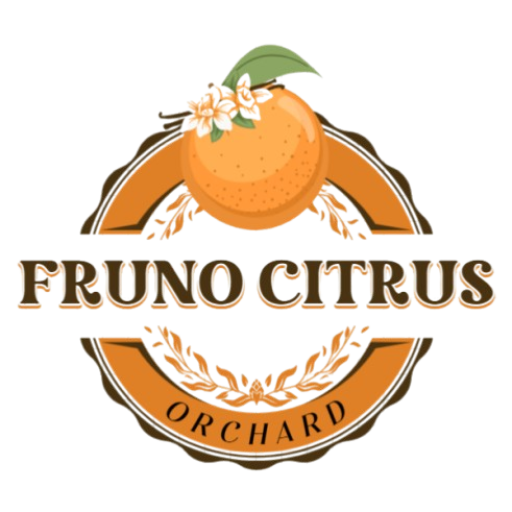Fruno Citrus supplies Chinese fresh sweet tangerines Ehime Jelly Orange、Papagan Orange(Chunjian Orange)、Ganping Mandarins(kanpei) wholesale